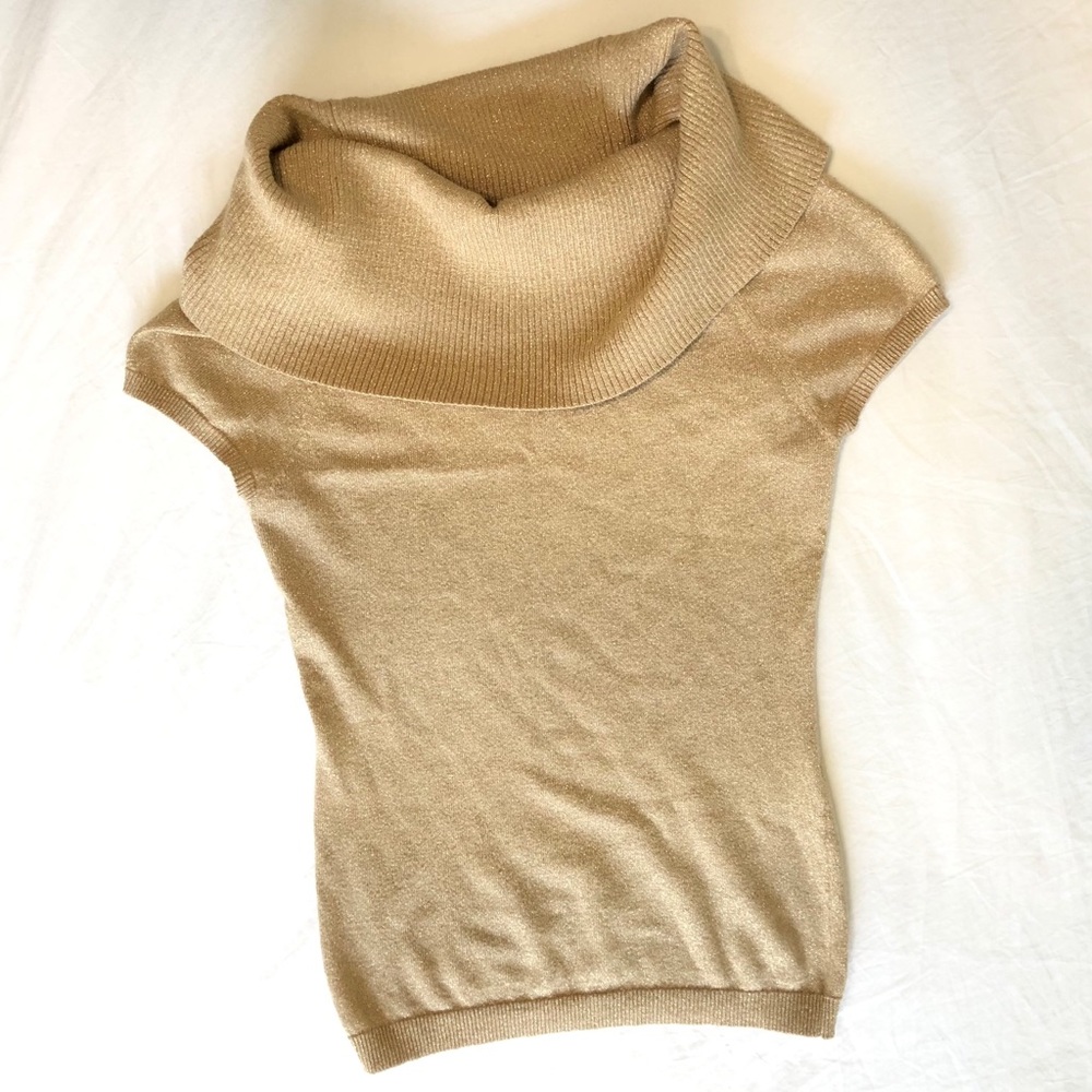 Cowl Neck Top Capped Sleeves